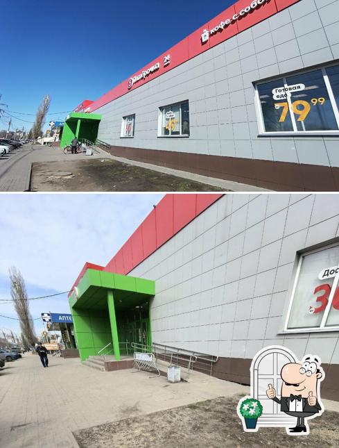 Сытый жираф