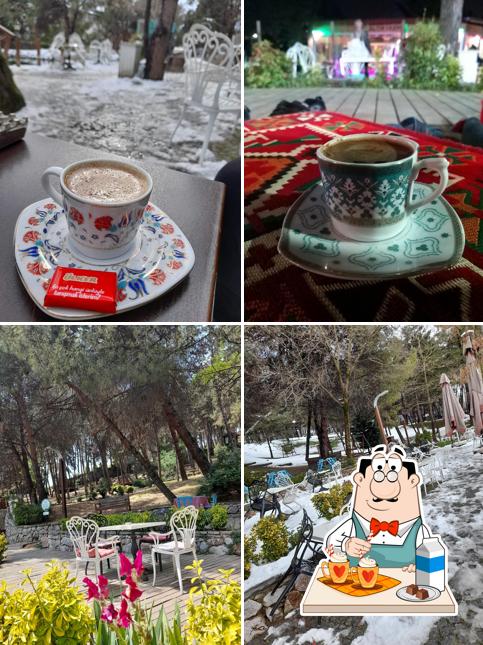 ALTIN CEZVE