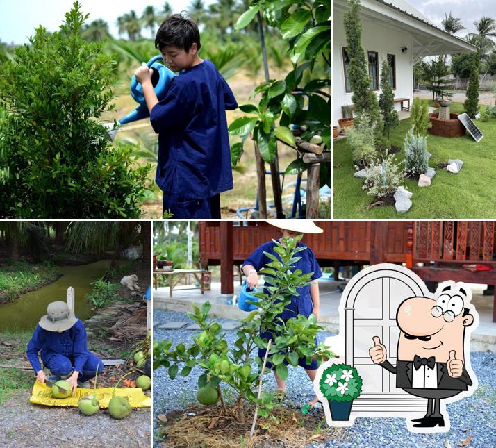 The White House Cafe’ & Sub Nai Din Farm (เดอะไวท์เฮาส์คาเฟ่ & บ้านไร่ทรัพย์ในดิน)