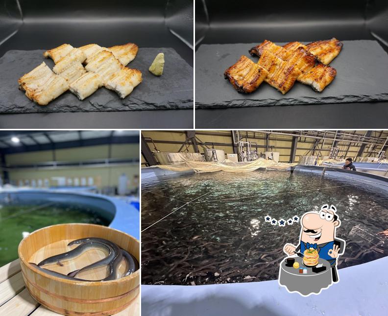 Hiranuma Fisheries Kamisato HALK