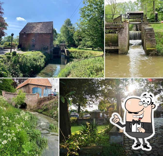 De Bostmolen