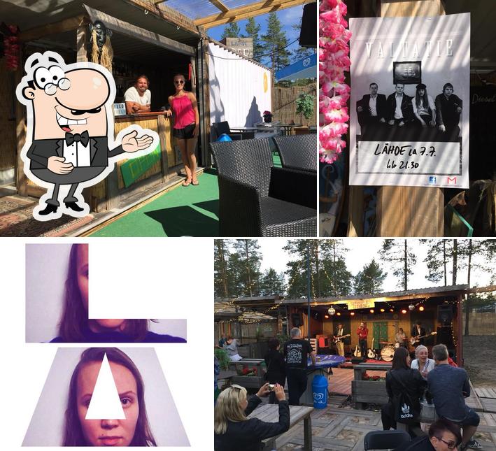 Hiekkasärkkäin Lähde