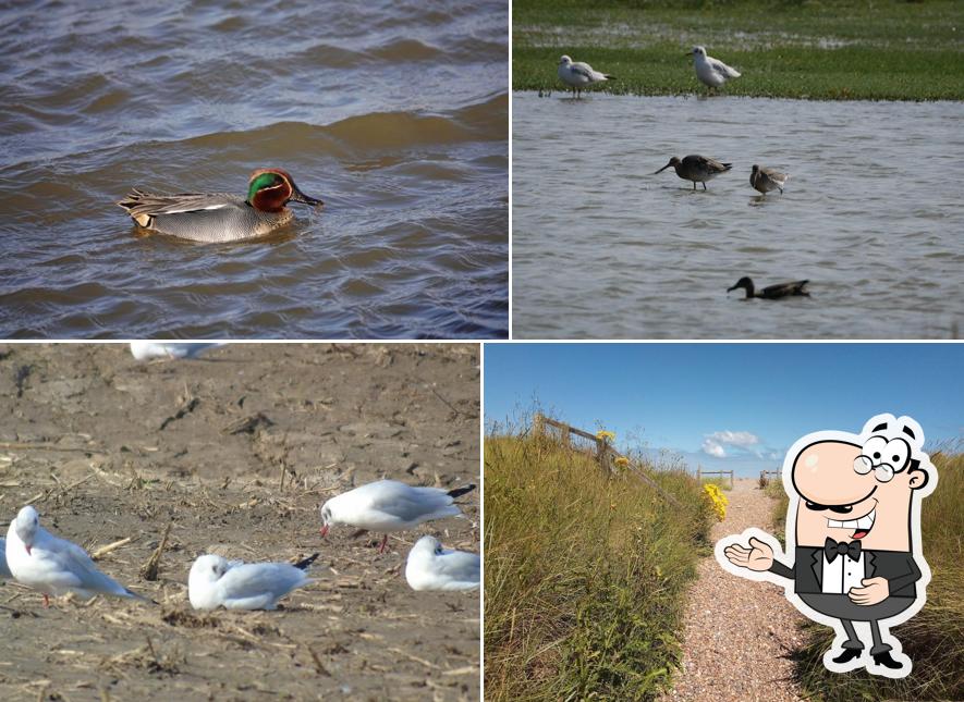 Norfolk Wildlife Trust – Cley and Salthouse Marshes visitor centre