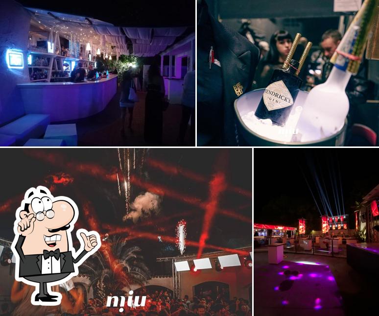 Miu Disco Dinner