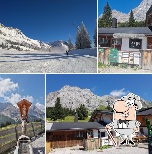 Hochfeldern Alm