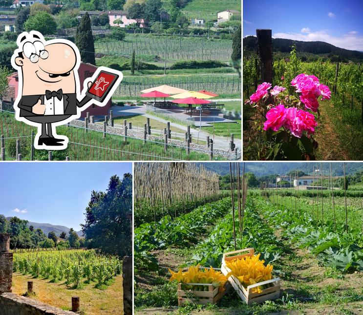 Cucina dello Scompiglio