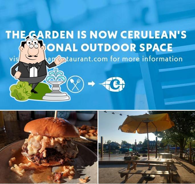 The Garden