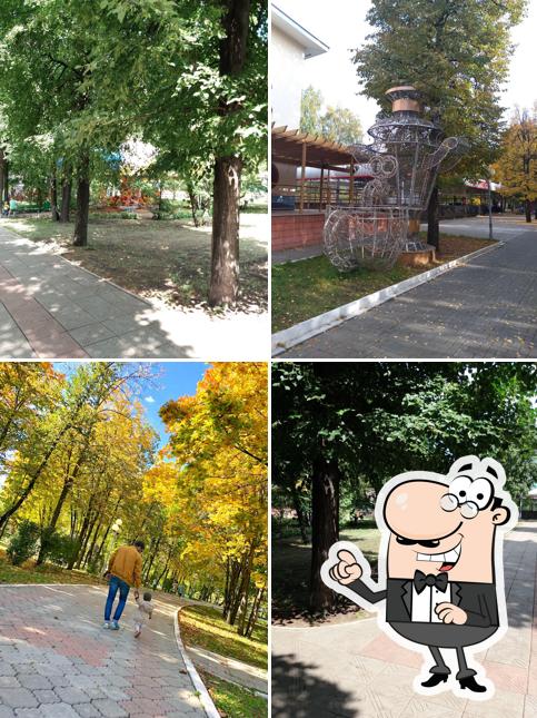 Ассоль