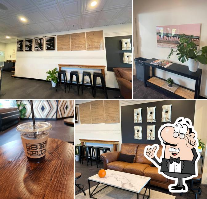 the seed. Coffee + Juice Bar