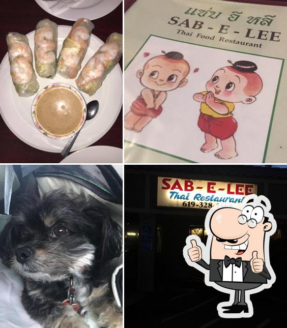 Sab-E-Lee