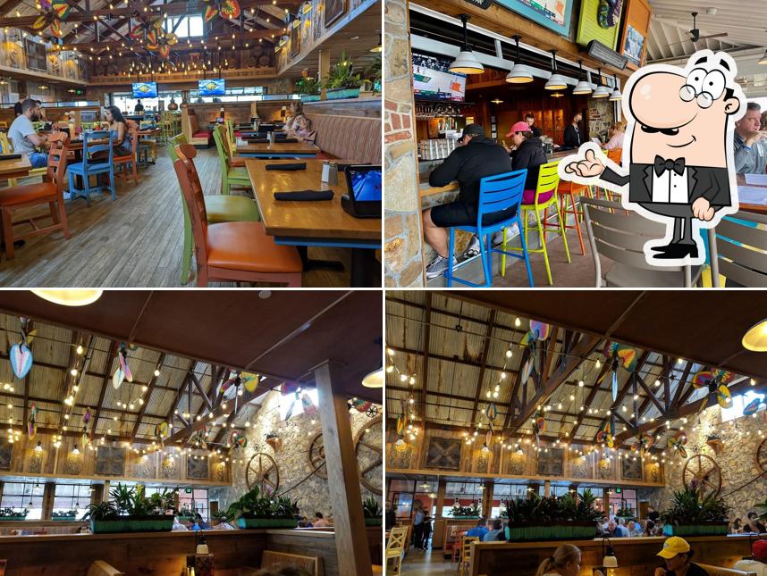 Bahama Breeze