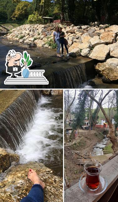 Kaledibi Restaurant Ve Alabalık Tesisleri