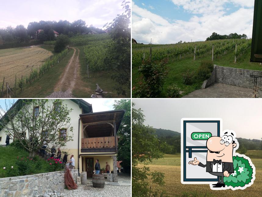 Gostilna Majzelj Majzelj Gašper s.p.