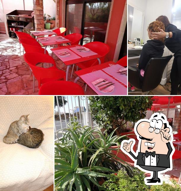 Restaurante Solar dos Frangos( take away )