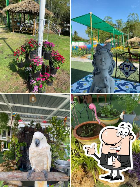 เต็มปอด คาเฟ่ "ปอดแห่งใหม่ ของนครปฐม"