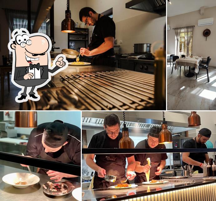 RISTORANTE TERRA