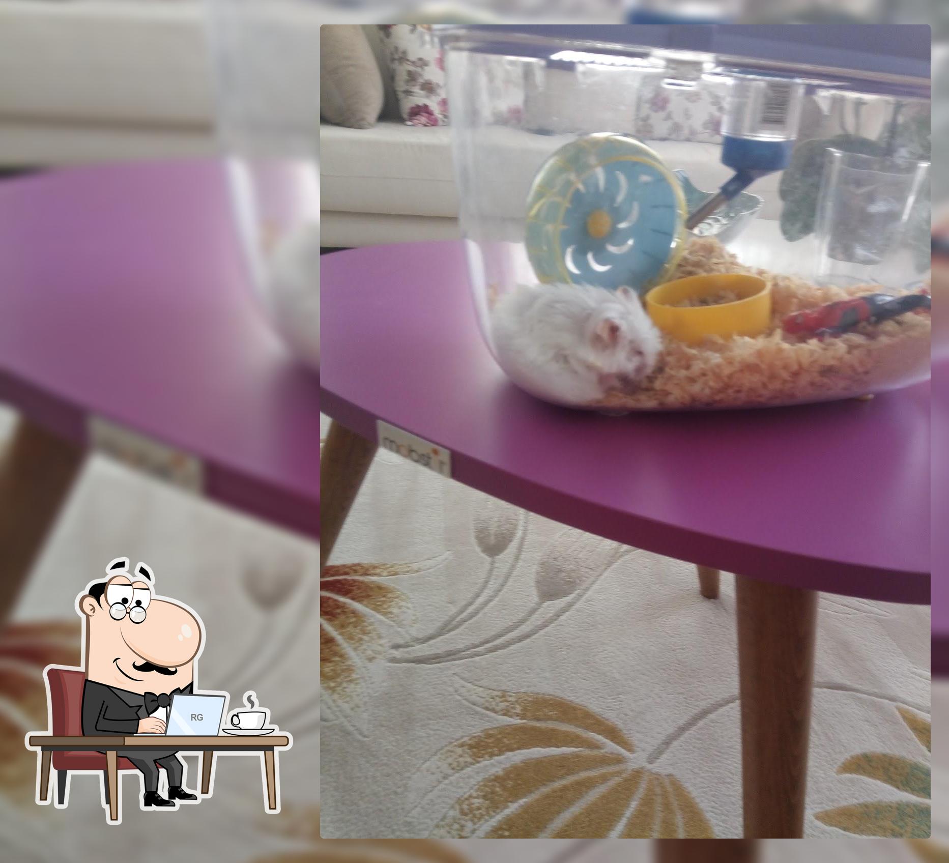 Erciyes Ekmek Fırını