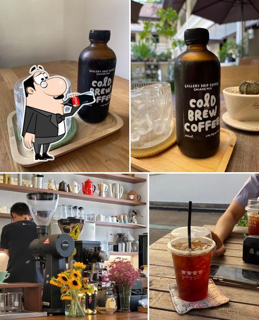 Gallery Drip Coffee Chiang Mai