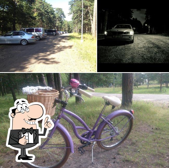 Staļļi