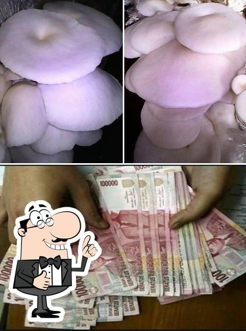 Kumbung JAMUR TIRAM "Suko Roso"