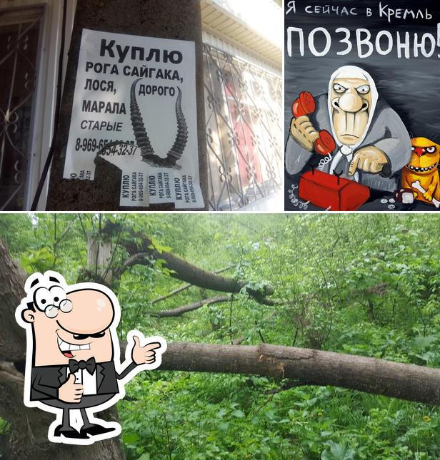 Мясо Бойня