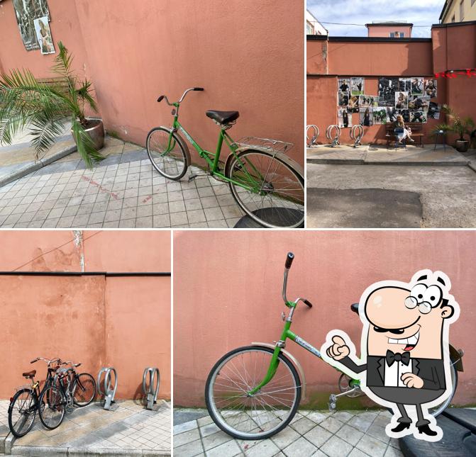 Наслаждайтесь видом , который открывается из "Салюта"