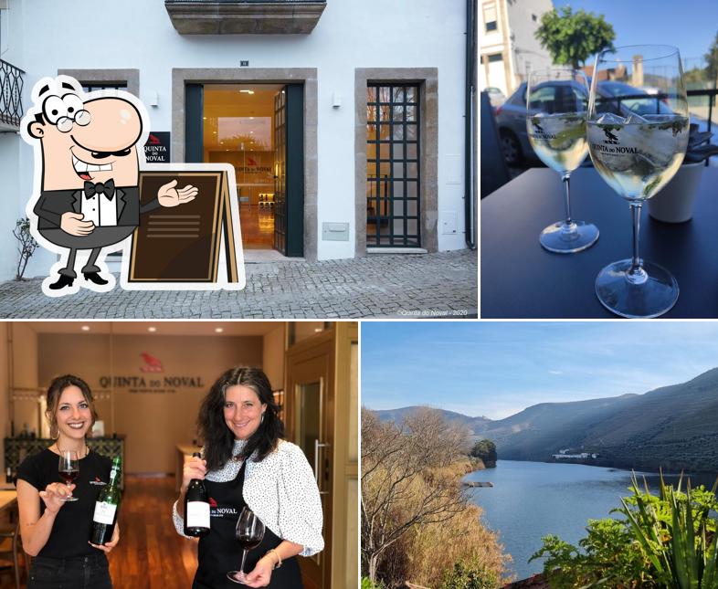 Quinta do Noval PINHÃO - Wine shop and tasting room