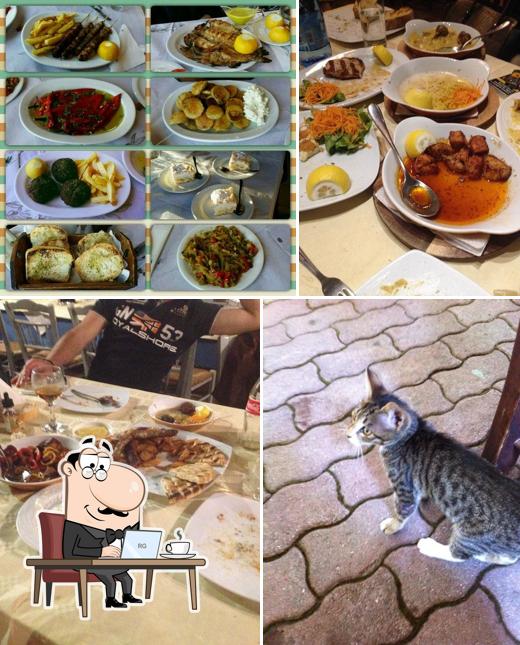 Ταβέρνα Σταθμός