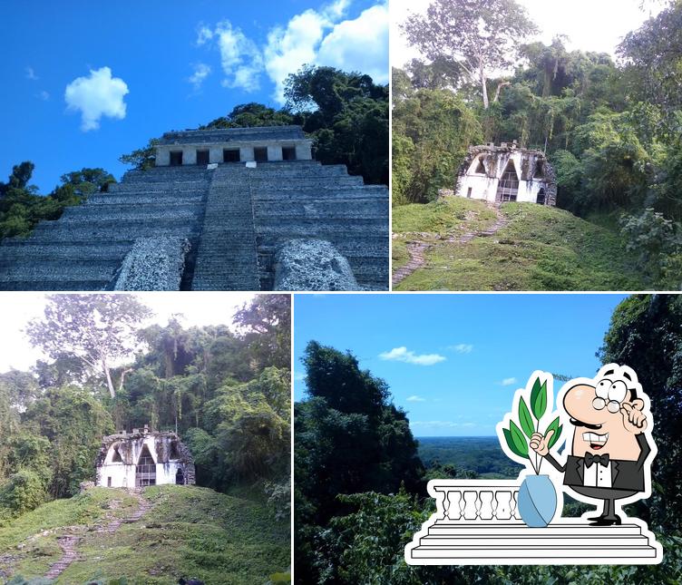 Elementos Naturales Palenque