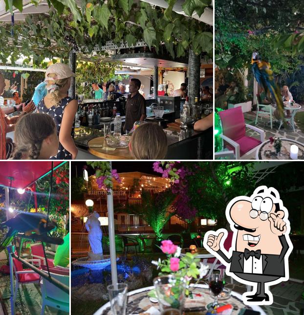 PARROT BAR & FOOTBALL GAMES