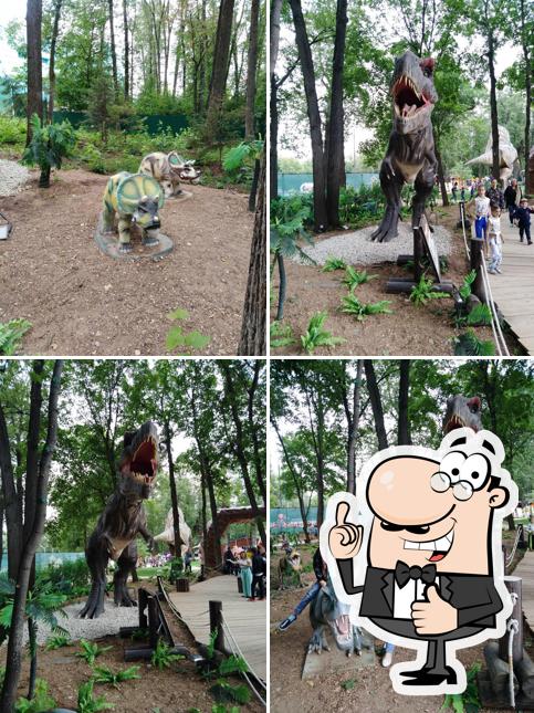 Летняя терраса