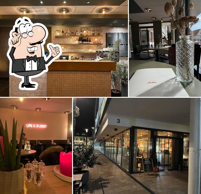 Aquarium Foodbar
