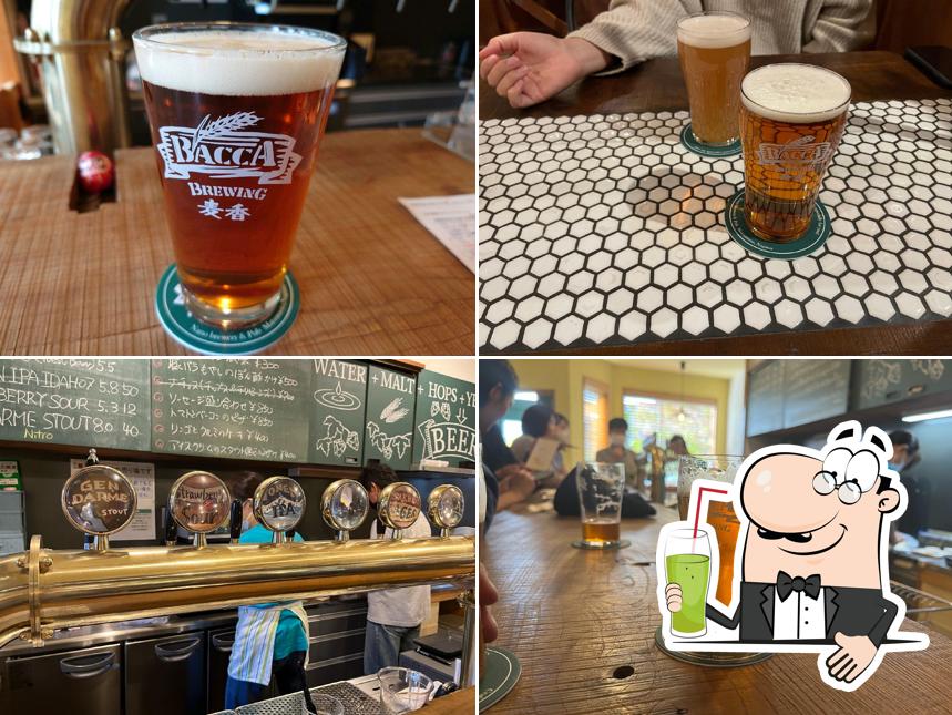 Bacca brewing