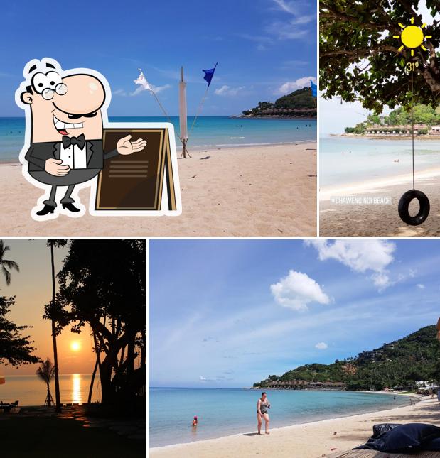The Beach Bar Samui