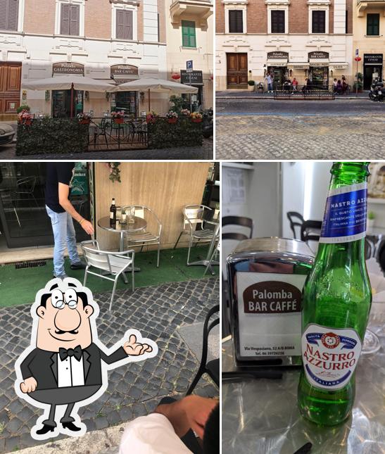 Bar Palomba