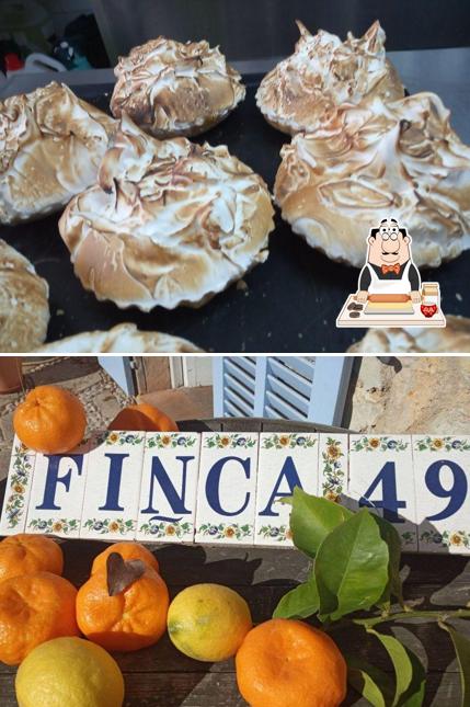 Finca49.