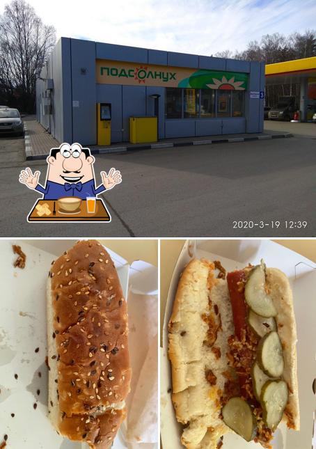 Подсолнух