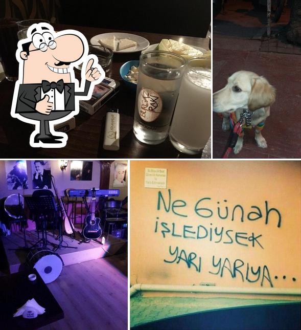 Adress Dost Turku Bar
