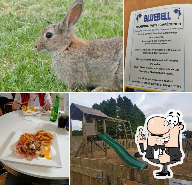 Bluebell Cafe