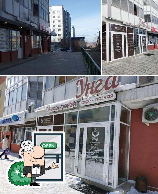 Унга