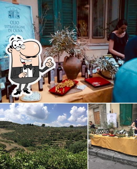 Tenuta Faugeri Olio Bio Basicò