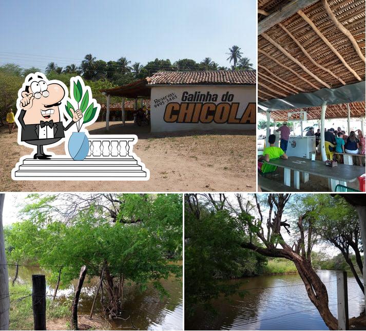 Chicola Das Galinhas