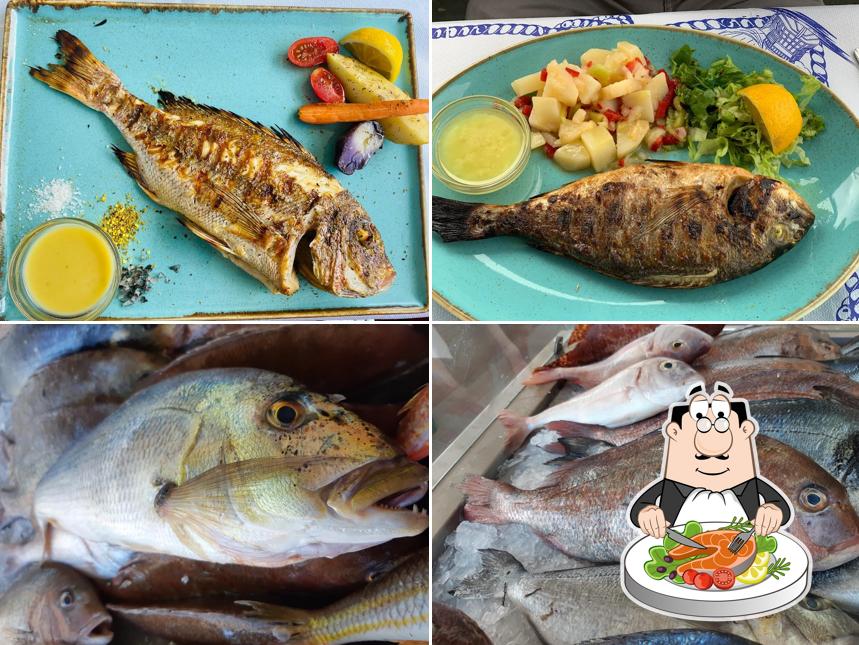 Fish Art