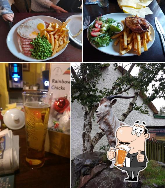 The Fox at Penllyn