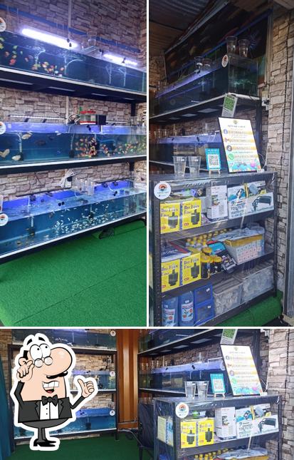 A AND M AQUATIC SHOP