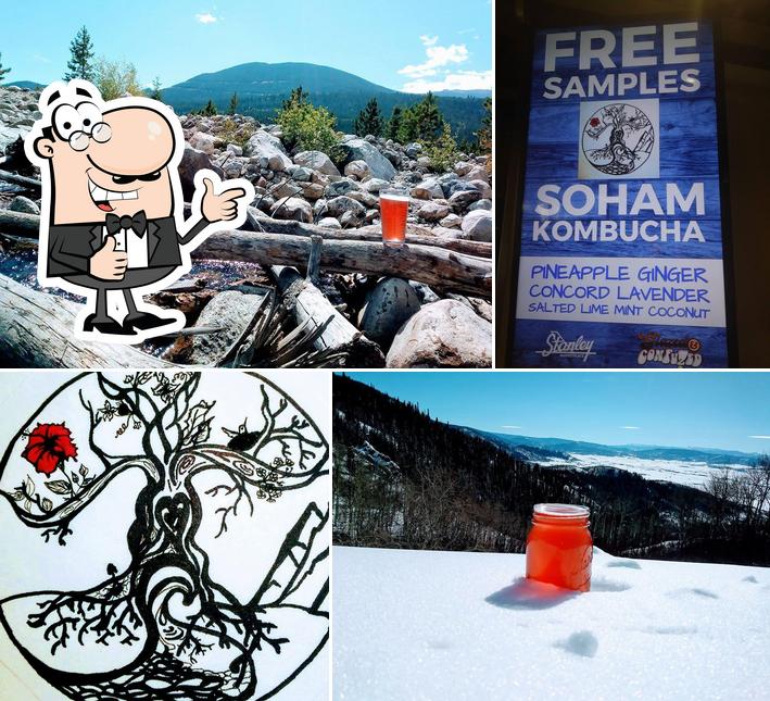 Soham Kombucha