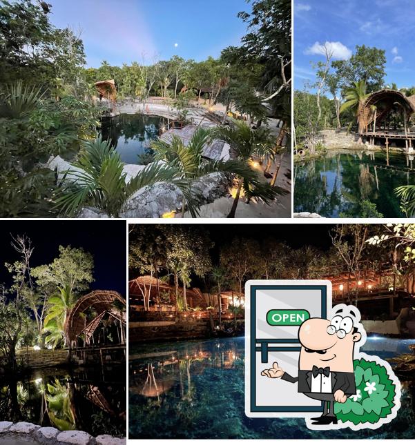 Vesica Tulum Cenote Club