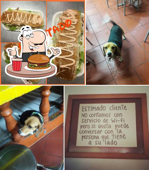 Comidas Rápidas Naruto