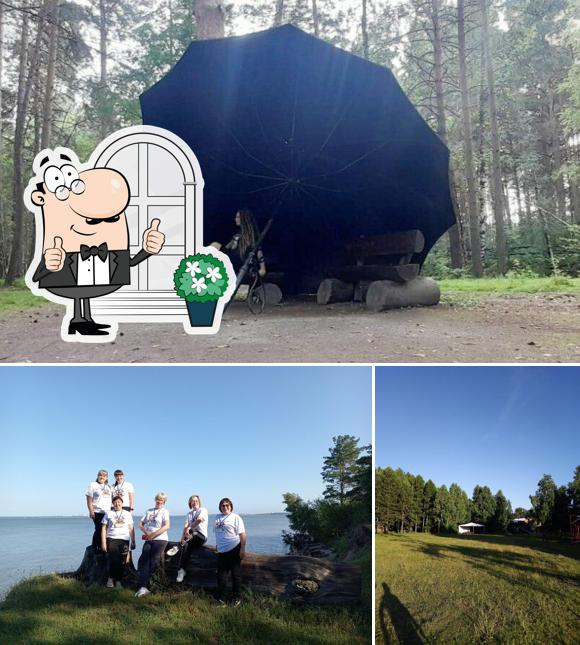 Зеленый остров