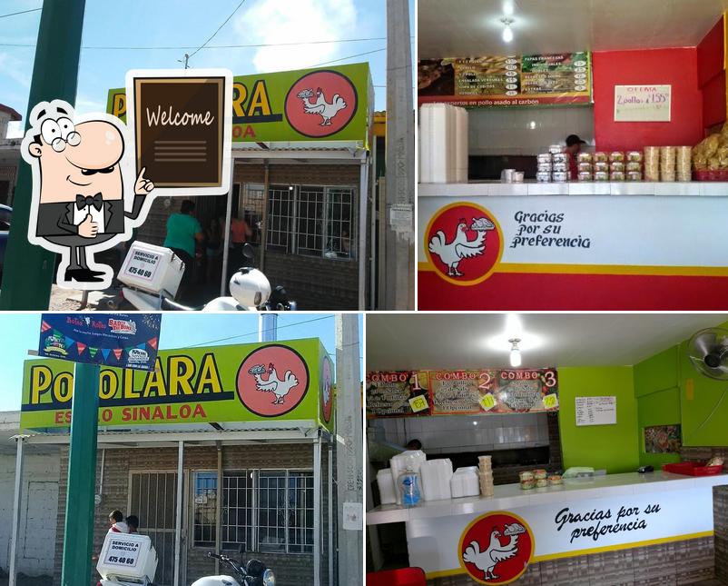 Pollo Lara
